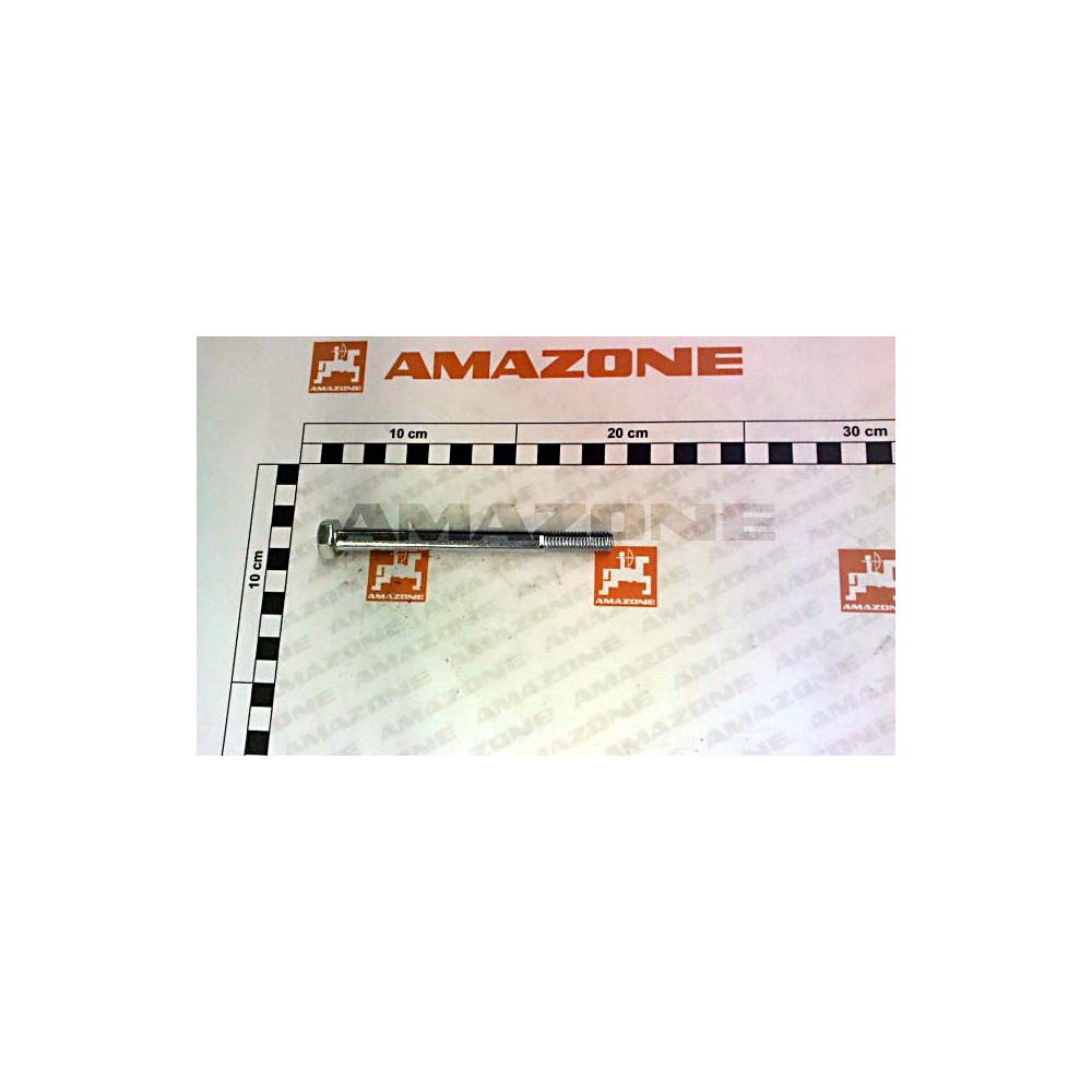 Vis 10X120 4014 8.8 A2G DB055 Amazone