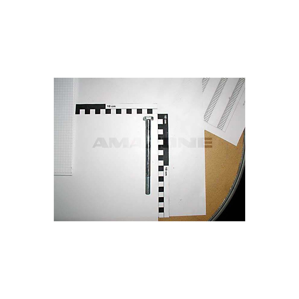 Vis 10X140 4014 8.8 A2G DB056 Amazone