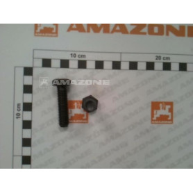 Vis 6 pans 4014 12X 45 8.8 DB059 Amazone