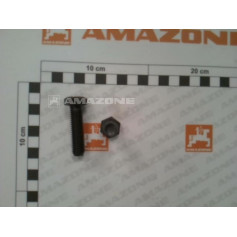 VIS 6 PANS 4014 12X 45 8.8 Réf. DB059 AMAZONE