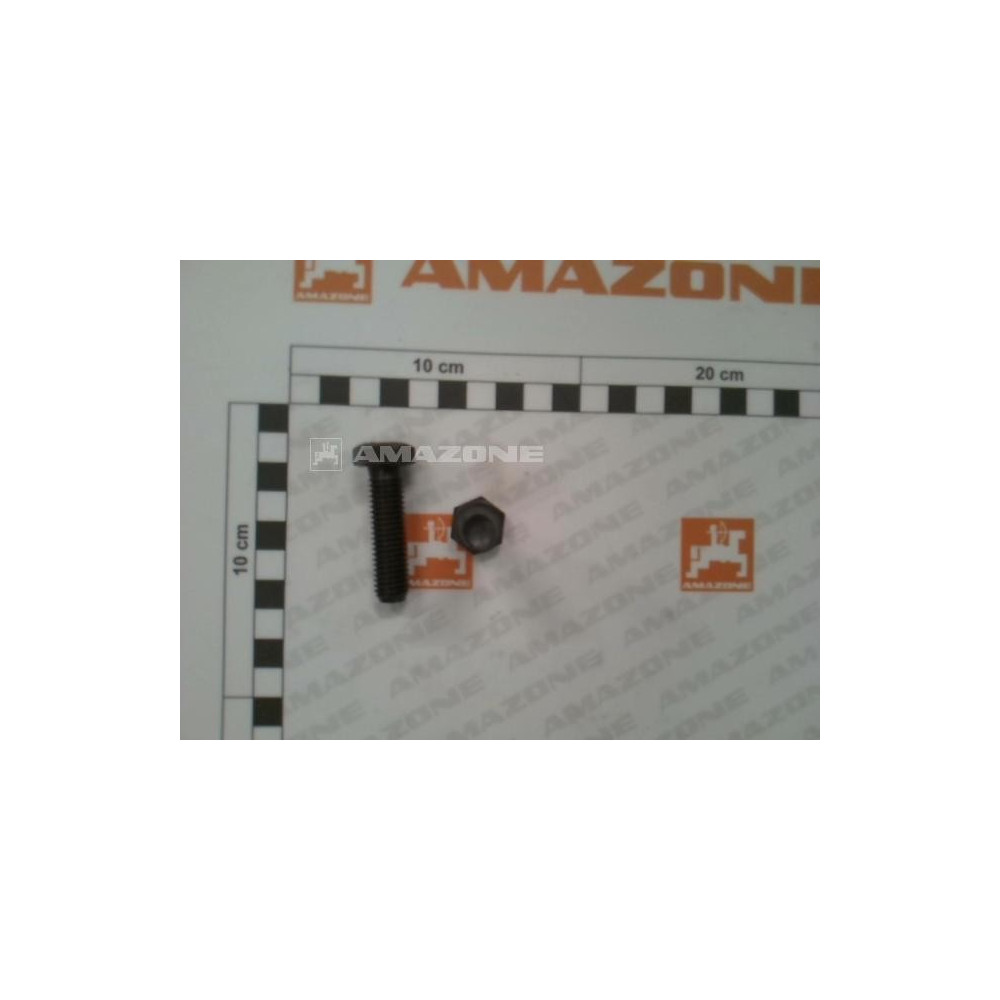Vis 6 pans 4014 12X 45 8.8 DB059 Amazone