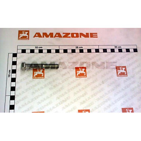 Vis 12X 75 4014 8.8 A2G DB074 Amazone