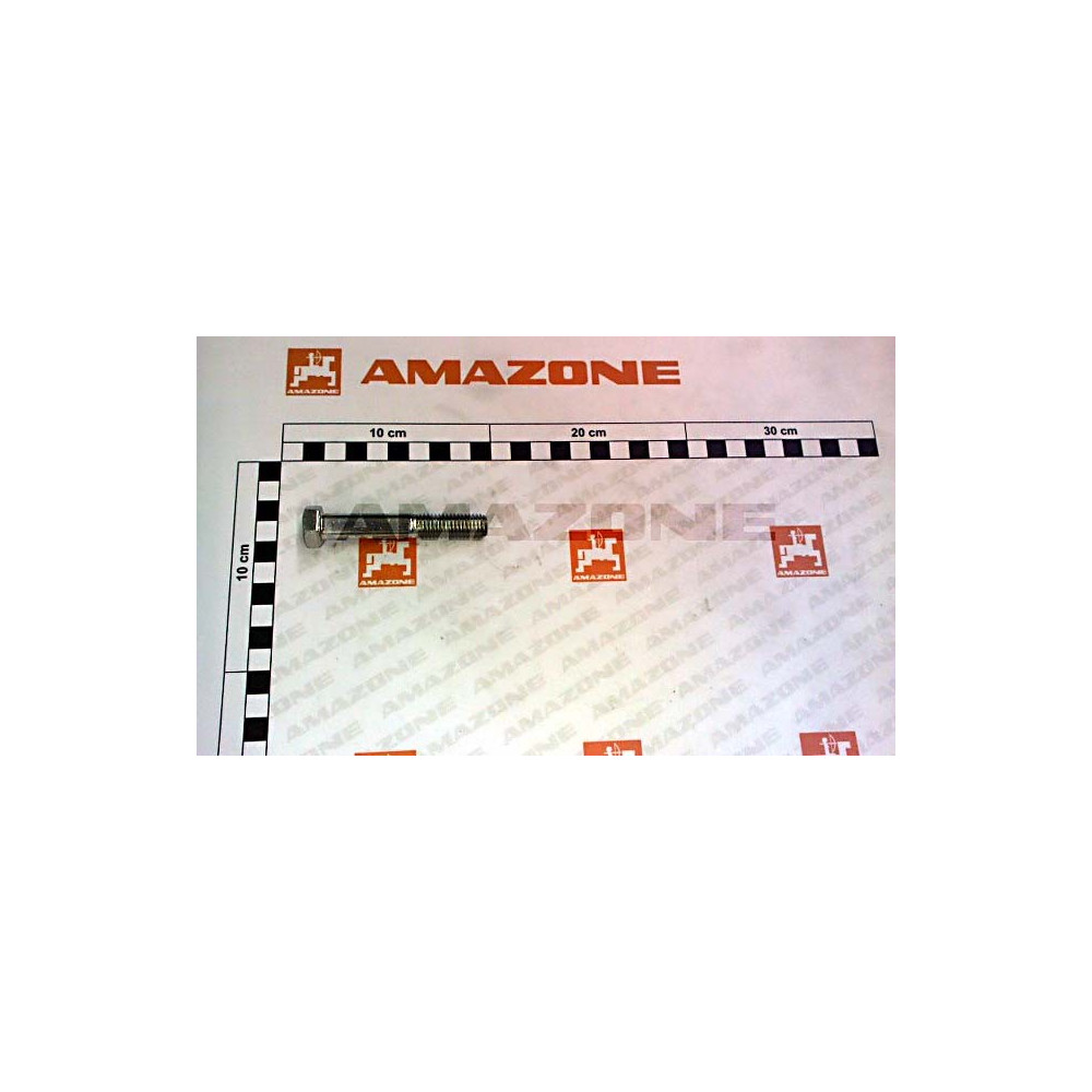 Vis 12X 75 4014 8.8 A2G DB074 Amazone