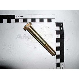 Vis 12X 90 4014 8.8 A2G DB076 Amazone