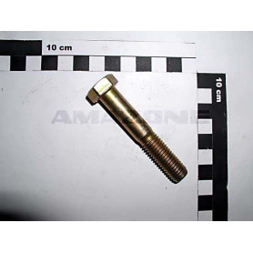 Vis 12X70 4014 8.8 A2G DB071 Amazone