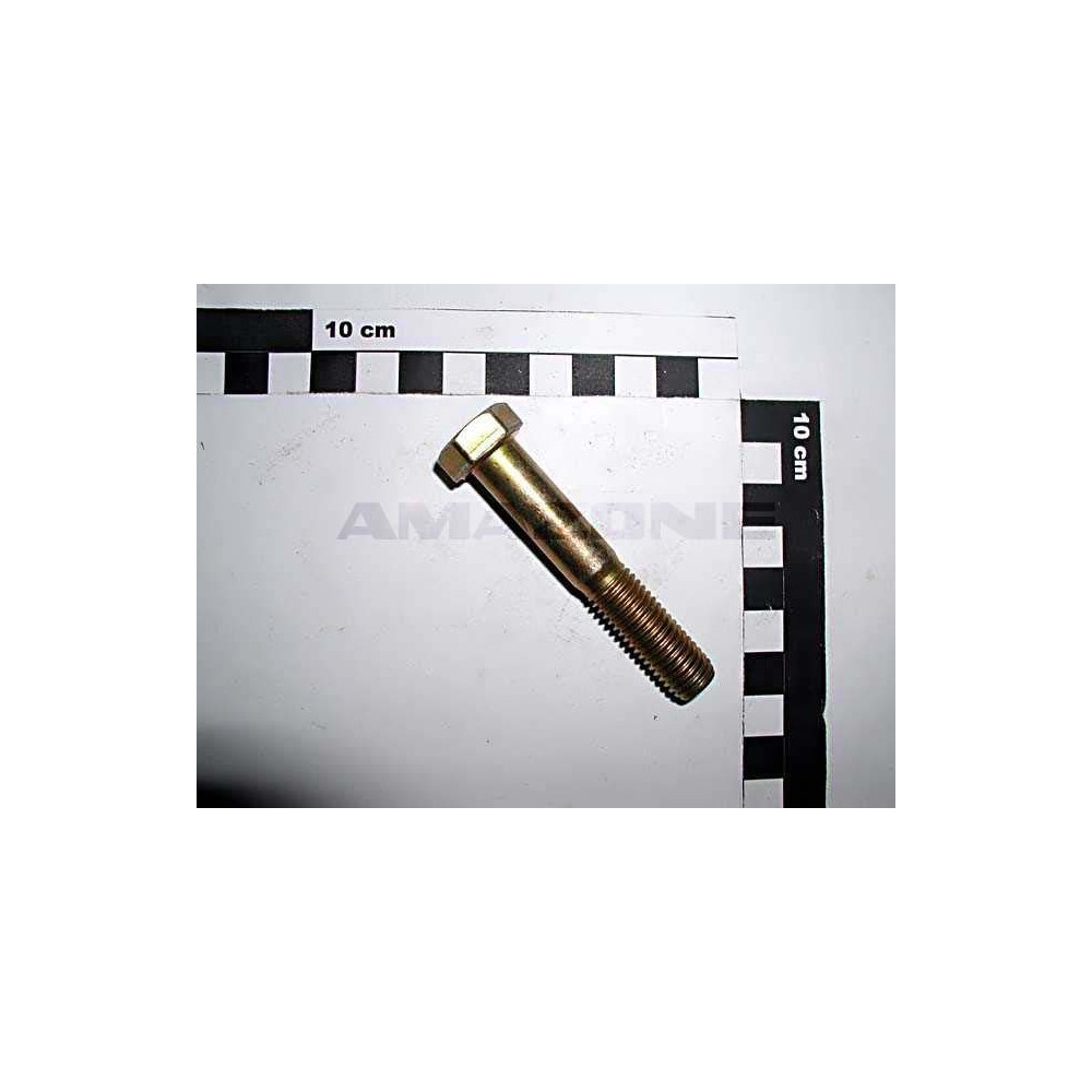 Vis 12X70 4014 8.8 A2G DB071 Amazone