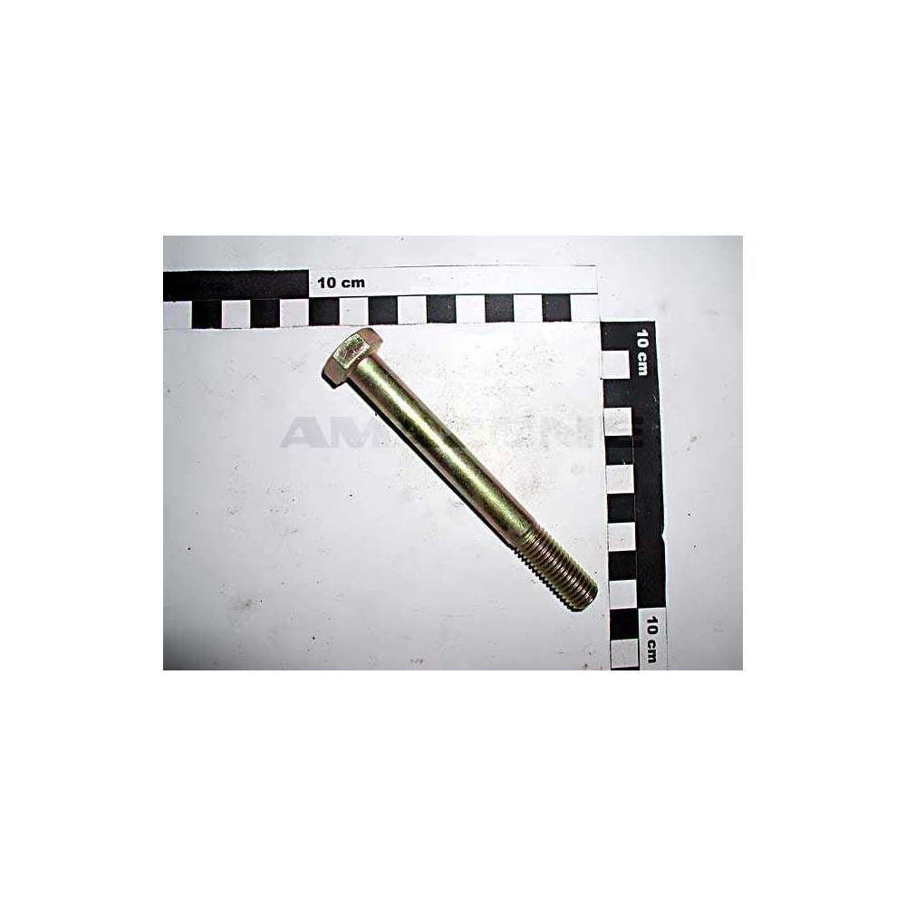 Vis 12X110 4014 8.8 A2G DB079 Amazone