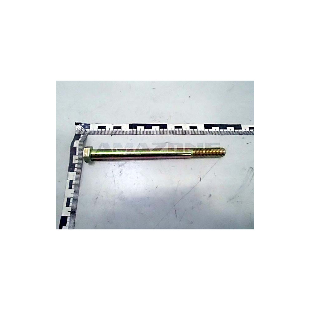 Vis 12X160 4014 8.8 A2G DB087 Amazone