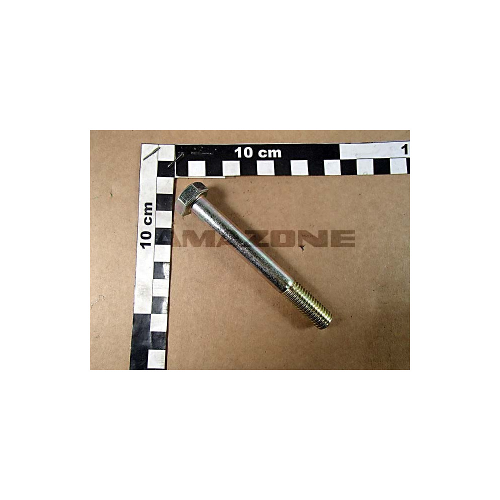 Vis 12X100 4014 8.8 A2G DB078 Amazone
