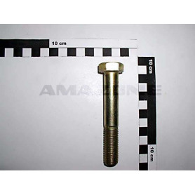 Vis 16X100 4014 8.8 A2G DB105 Amazone