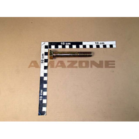 Vis 16X110 4014 8.8 A2G DB106 Amazone