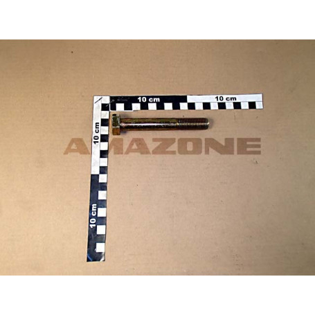 VIS 16X110 4014  8.8 A2G Réf. DB106 AMAZONE