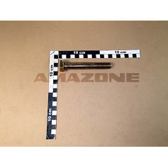VIS 16X110 4014  8.8 A2G Réf. DB106 AMAZONE