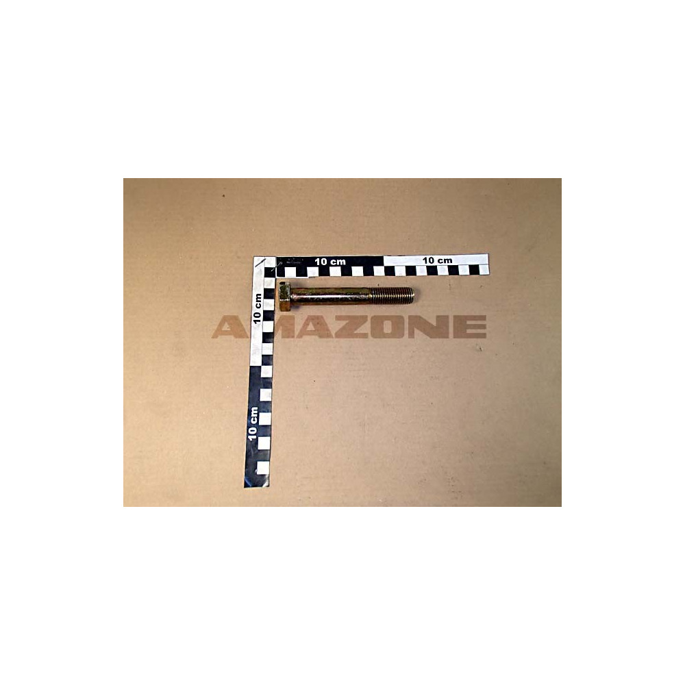 Vis 16X110 4014 8.8 A2G DB106 Amazone