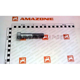Vis 20X100 4014 10.9 DB114 Amazone