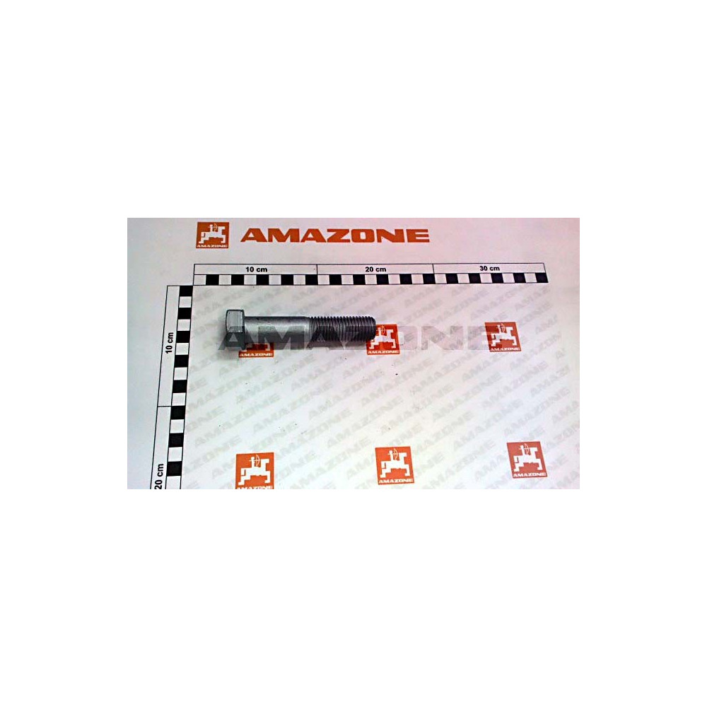 Vis 20X100 4014 10.9 DB114 Amazone