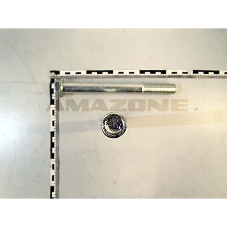 Vis 20X200 10.9 FLZNL-480H EDX Réf. DB117 - AMAZONE Vis 20X200 10.9 FLZNL-480H EDX Réf. DB117 - AMAZONE