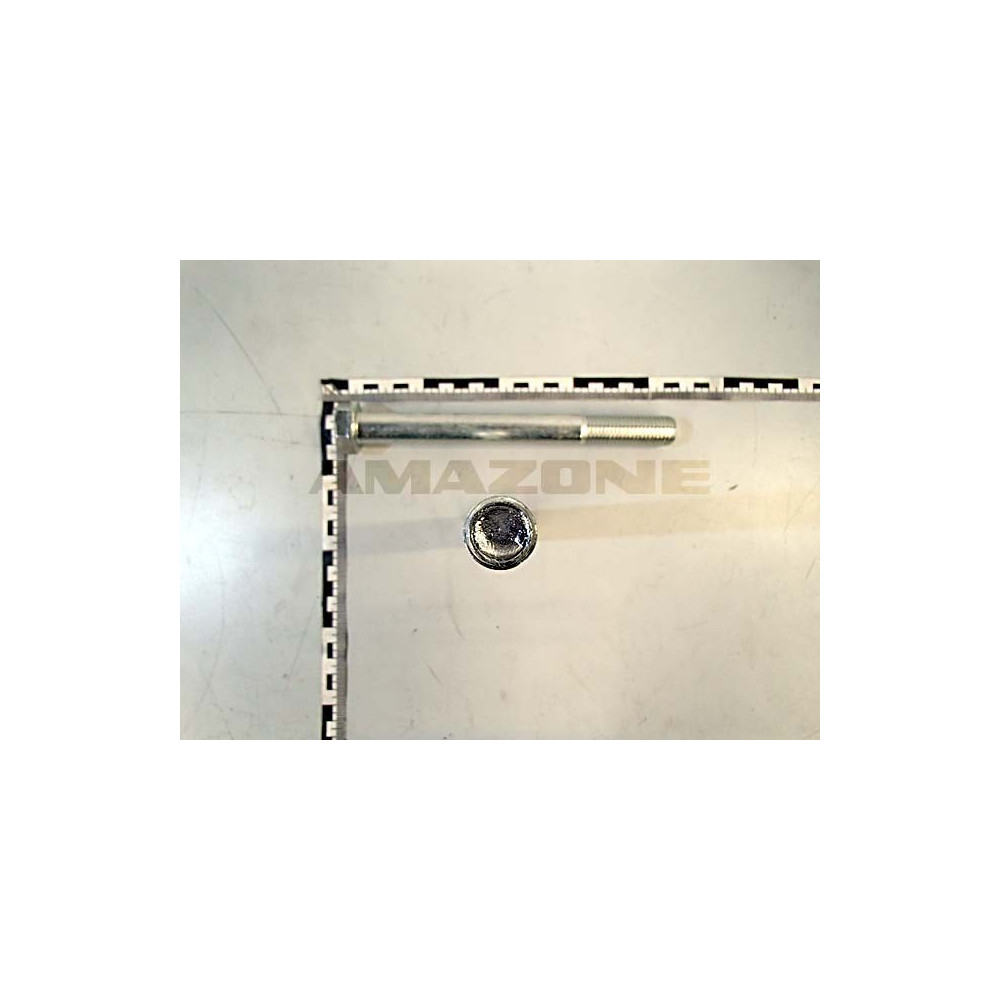 Vis 20X200 10.9 FLZNL-480H EDX DB117 Amazone