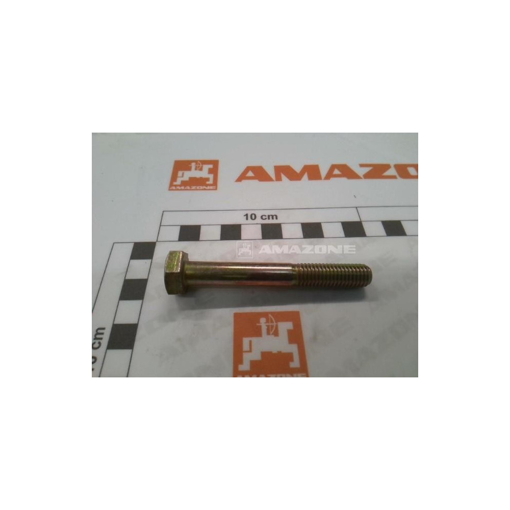 Vis 10X 75 4014 8.8 A2G DB141 Amazone
