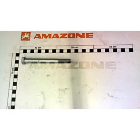 Vis 12X120 4014 10.9 DB138 Amazone