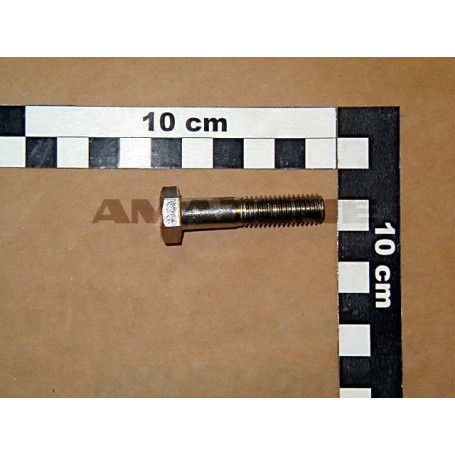 VIS 10X 45 4014 A2-70 Réf. DB160 AMAZONE