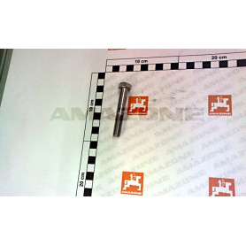 Vis 10X 65 4014 A2-70 DB178 Amazone