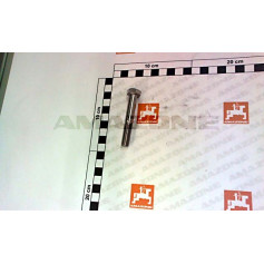 VIS 10X 65 4014 A2-70 Réf. DB178 AMAZONE