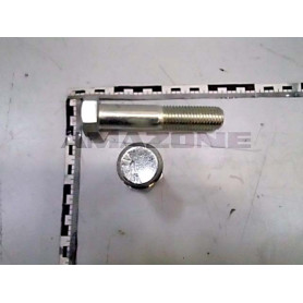 Vis 24X120 4014 8.8 A2G DB180 Amazone