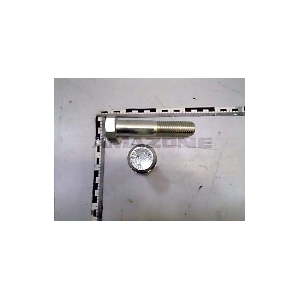 Vis 24X120 4014 8.8 A2G DB180 Amazone