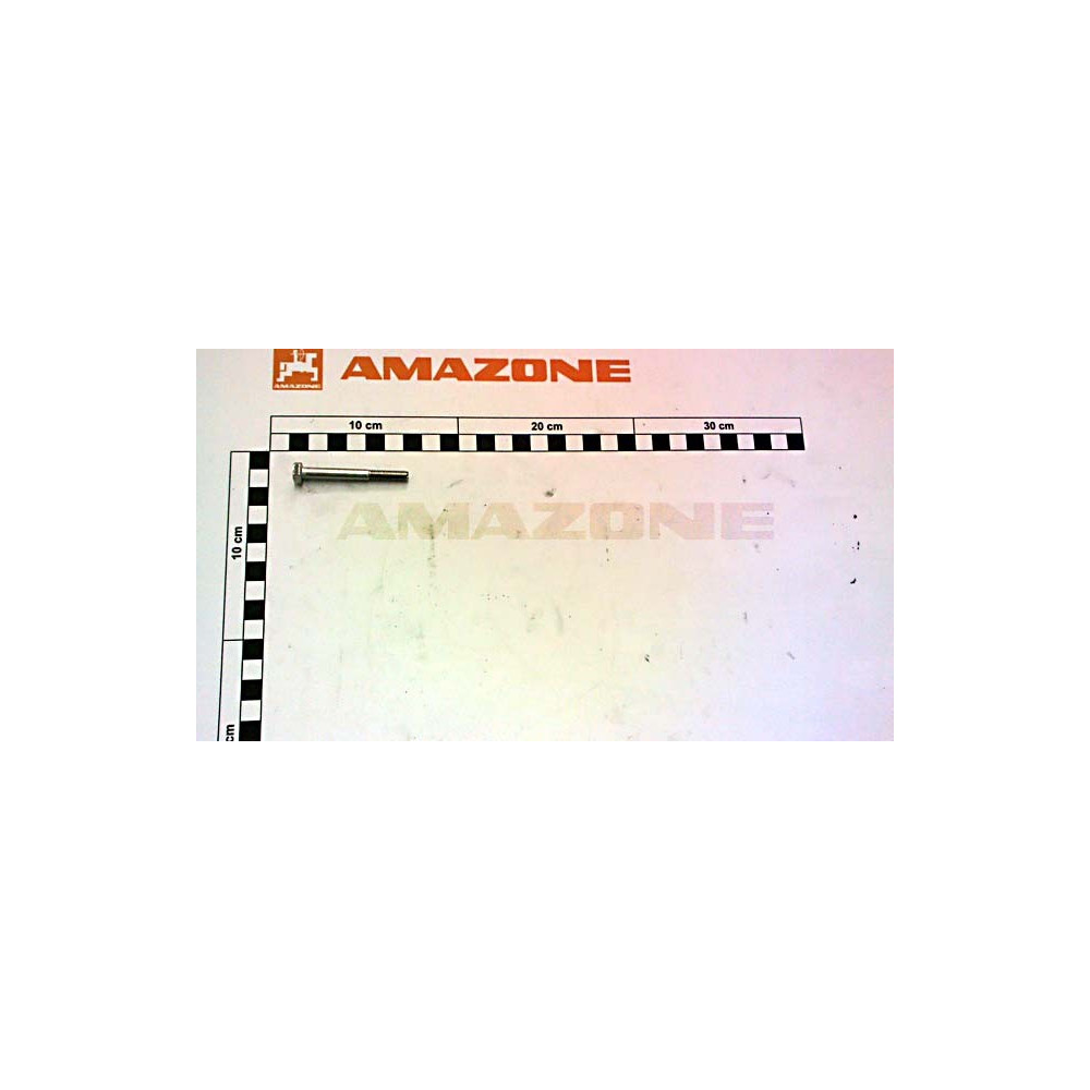 Vis 06X 55 A2-70 DB181 Amazone