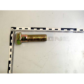 Vis 24X 80 4014 8.8 A2G DB179 Amazone