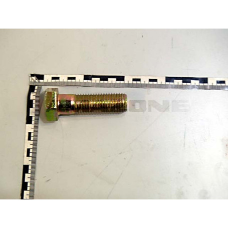 VIS 24X 80 4014  8.8 A2G Réf. DB179 AMAZONE