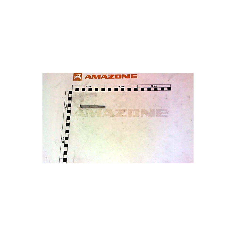 Vis 06X 70 4014 A2-70 DB217 Amazone