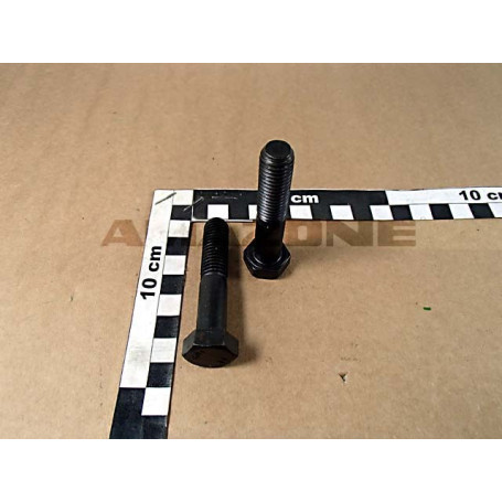 VIS 12X 60 4014 10.9 Réf. DB239 AMAZONE