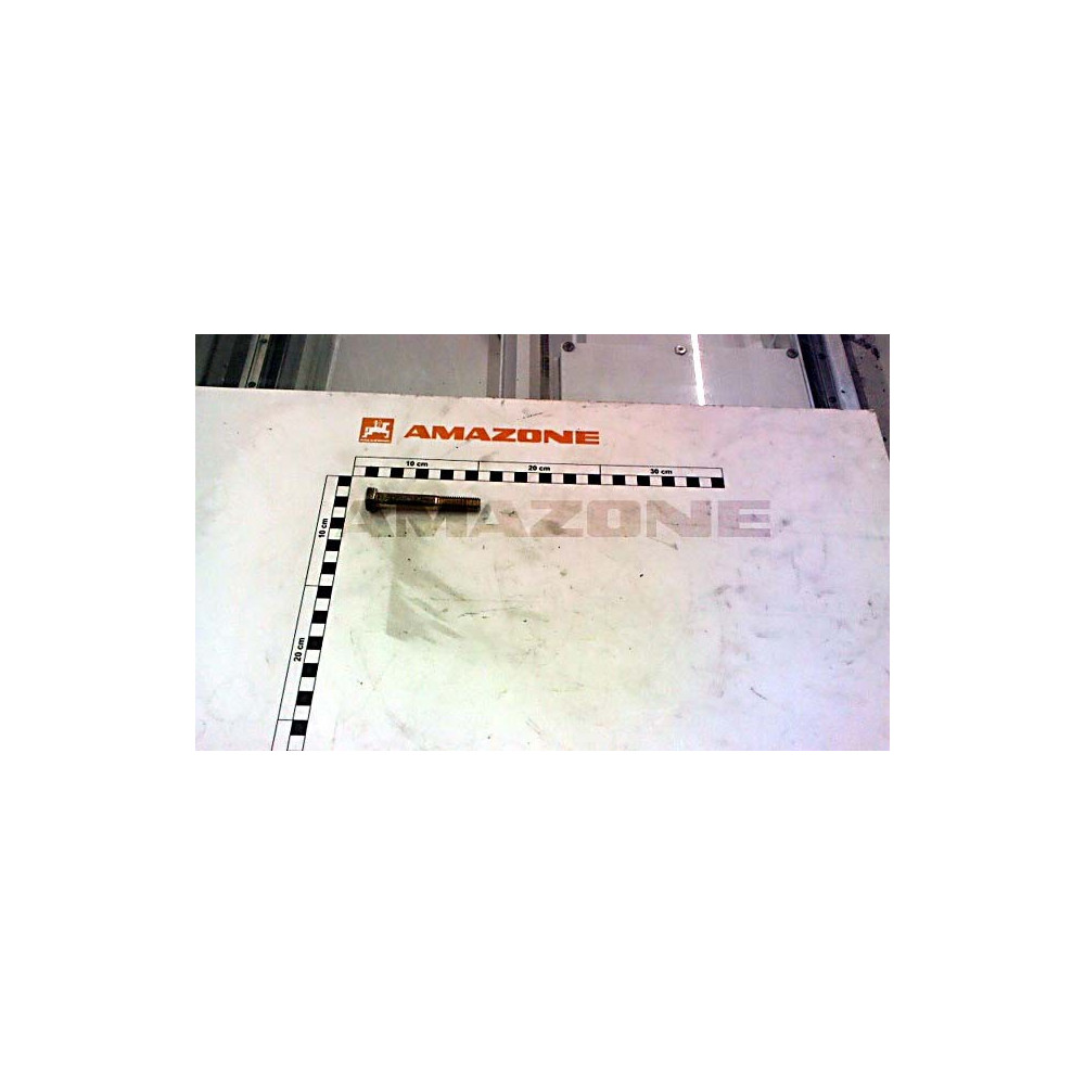 Vis 12X 80 4014 8.8 A2G DB247 Amazone