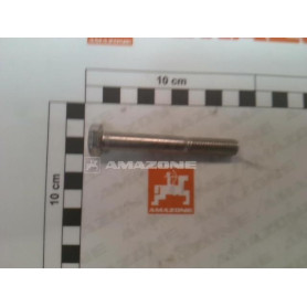 Vis 6 pans 10X70 A2-70 UX DB256 Amazone