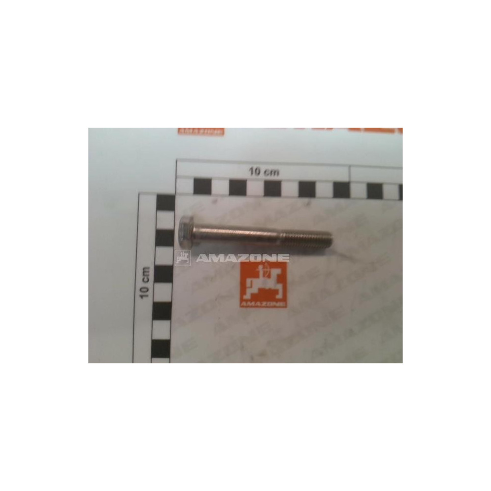 Vis 6 pans 10X70 A2-70 UX DB256 Amazone