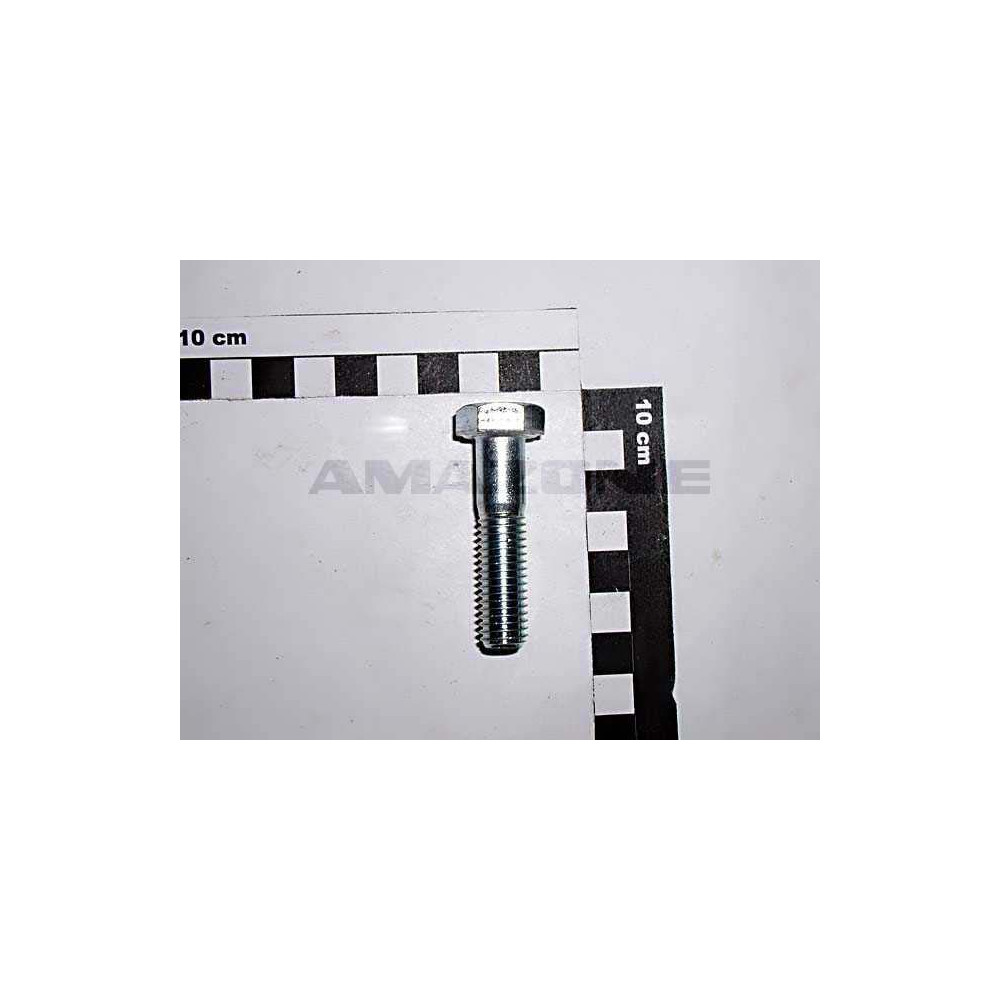 Vis 12X 50 4014 8.8 A2G DB063 Amazone