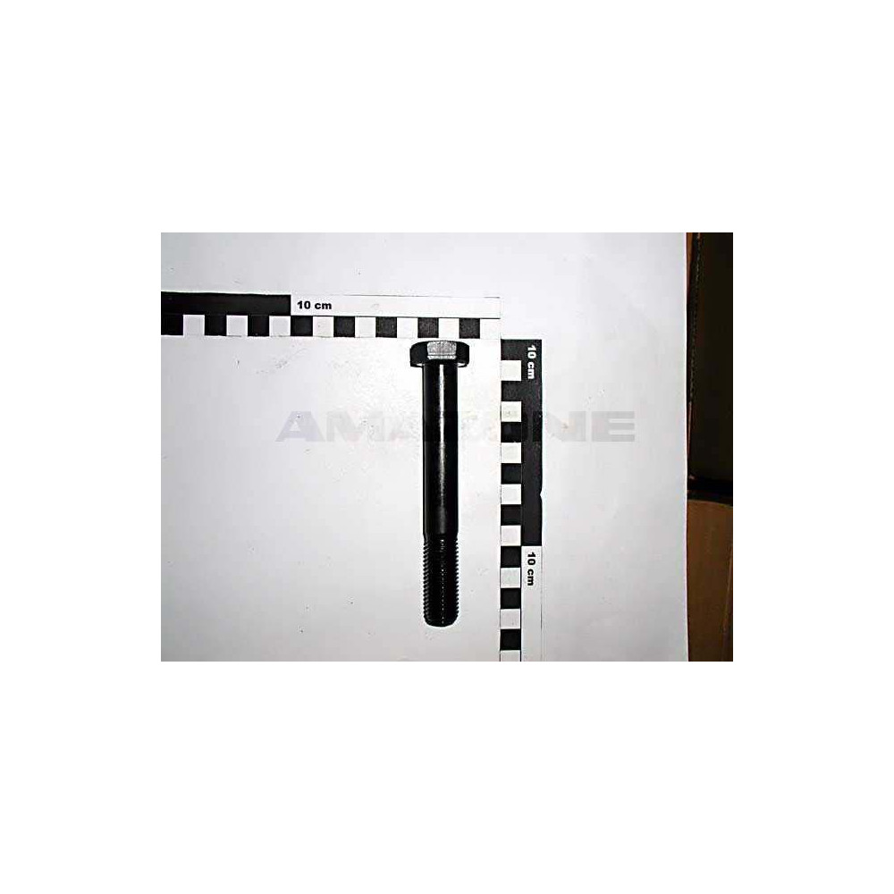 Vis 16 X 120 8.8 DB389 Amazone
