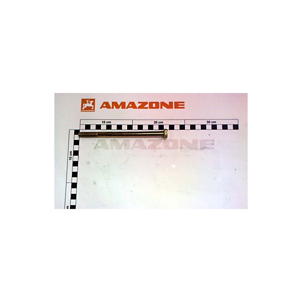 Vis 10 X 160 DB430 Amazone