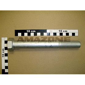Vis 24X200 4014 10.9 DB434 Amazone