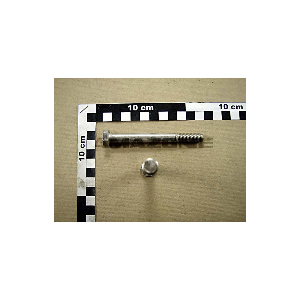 Vis 10X100 4014 A2-70 UX DB442 Amazone