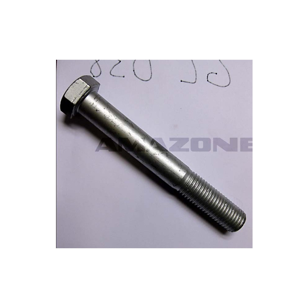 Vis 20 X 180 10.9 DB456 Amazone