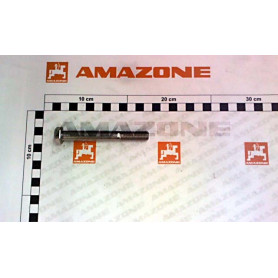 Vis 12X100 4014 A2-70 DB464 Amazone