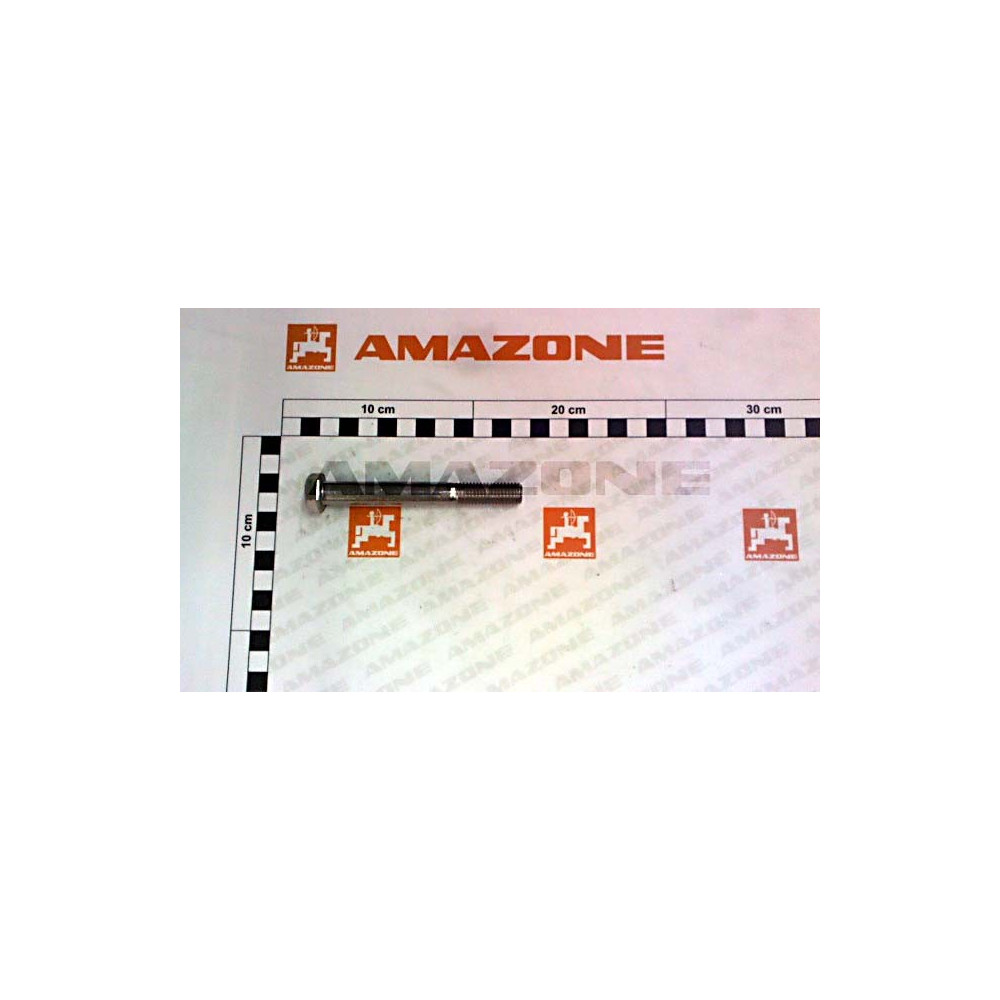 Vis 12X100 4014 A2-70 DB464 Amazone
