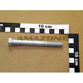 Vis 12X100 4014 10.9 DB467 Amazone