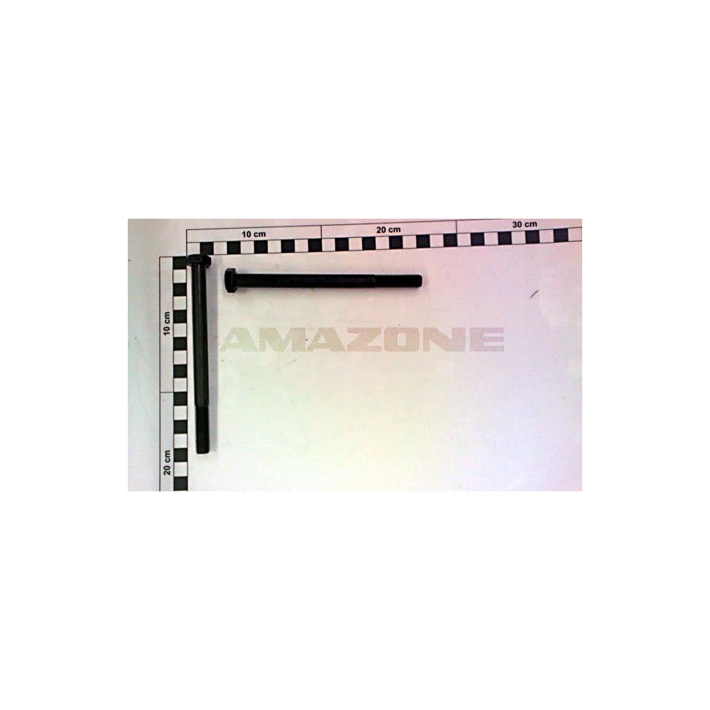 Vis 10X185 DB481 Amazone