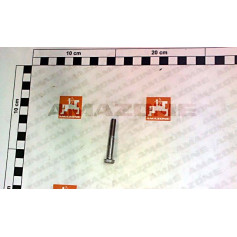 Vis vis 6 X 45 A2-70 Réf. DB493 - AMAZONE Vis vis 6 X 45 A2-70 Réf. DB493 - AMAZONE