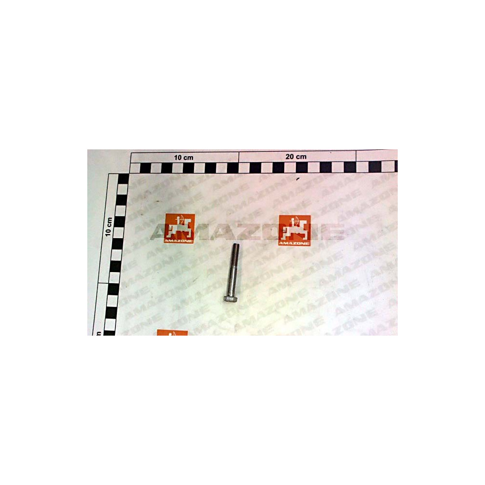 Vis vis 6 X 45 A2-70 DB493 Amazone