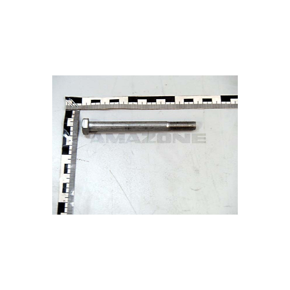 Vis 10 X110 A2-70 DB498 Amazone